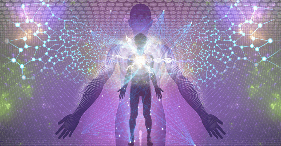 Lichaamsgerichte therapie